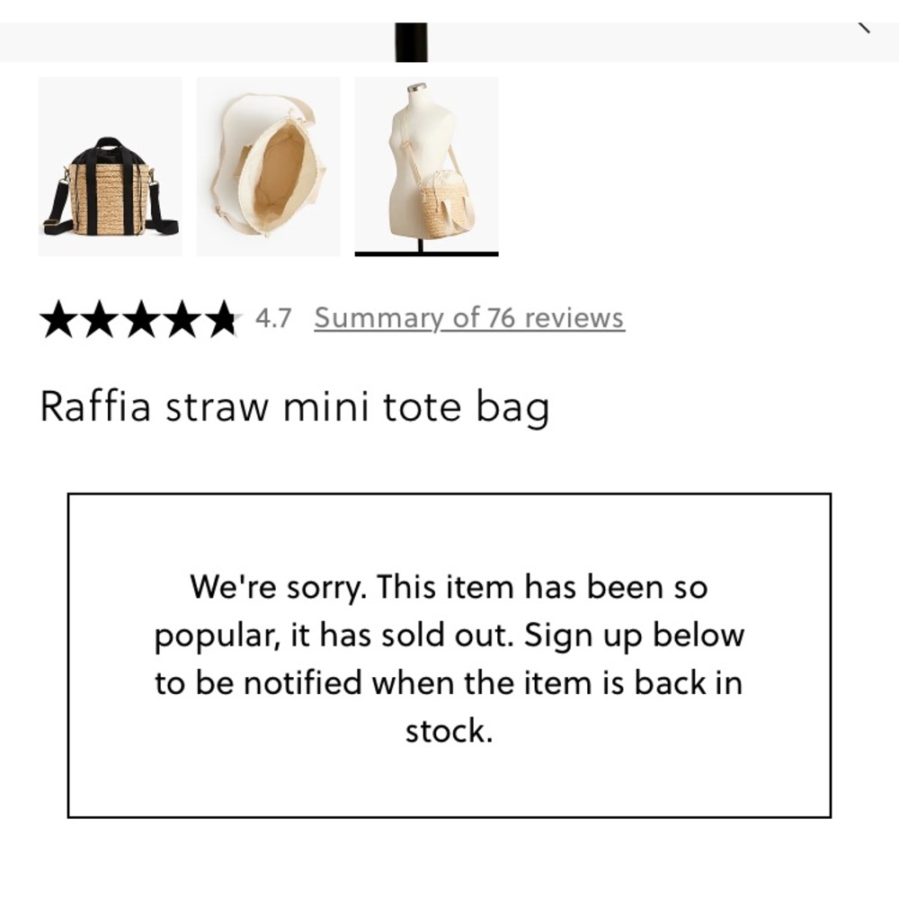 New: J Crew Raffia Straw Mini Tote Bag - Picture 6 of 16